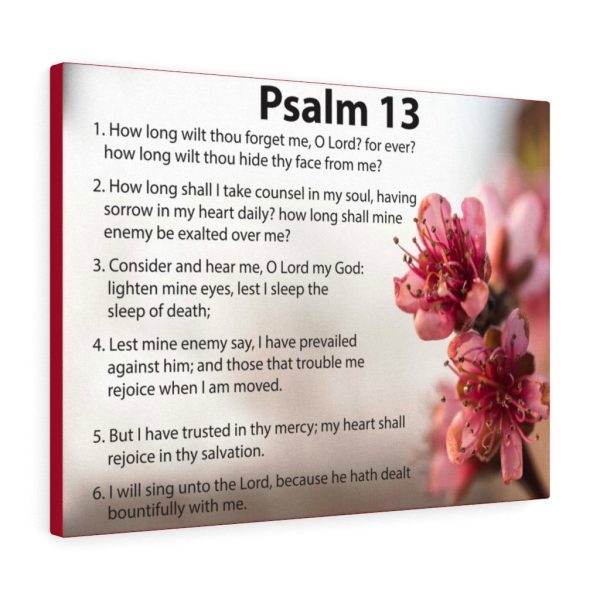 Scripture Canvas When God Seems Silent Psalm 13 Christian Bible Verse Meaningful Framed Prints, Canvas Paintings - Image 5