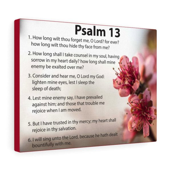 Scripture Canvas When God Seems Silent Psalm 13 Christian Bible Verse Meaningful Framed Prints, Canvas Paintings - Image 3